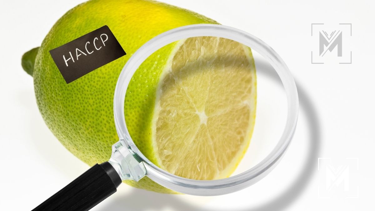 Formation HACCP 14H Flash