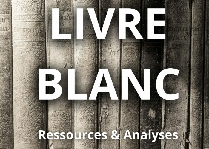 vignette-livre-blanc-mentoriel vignette livre blanc mentoriel