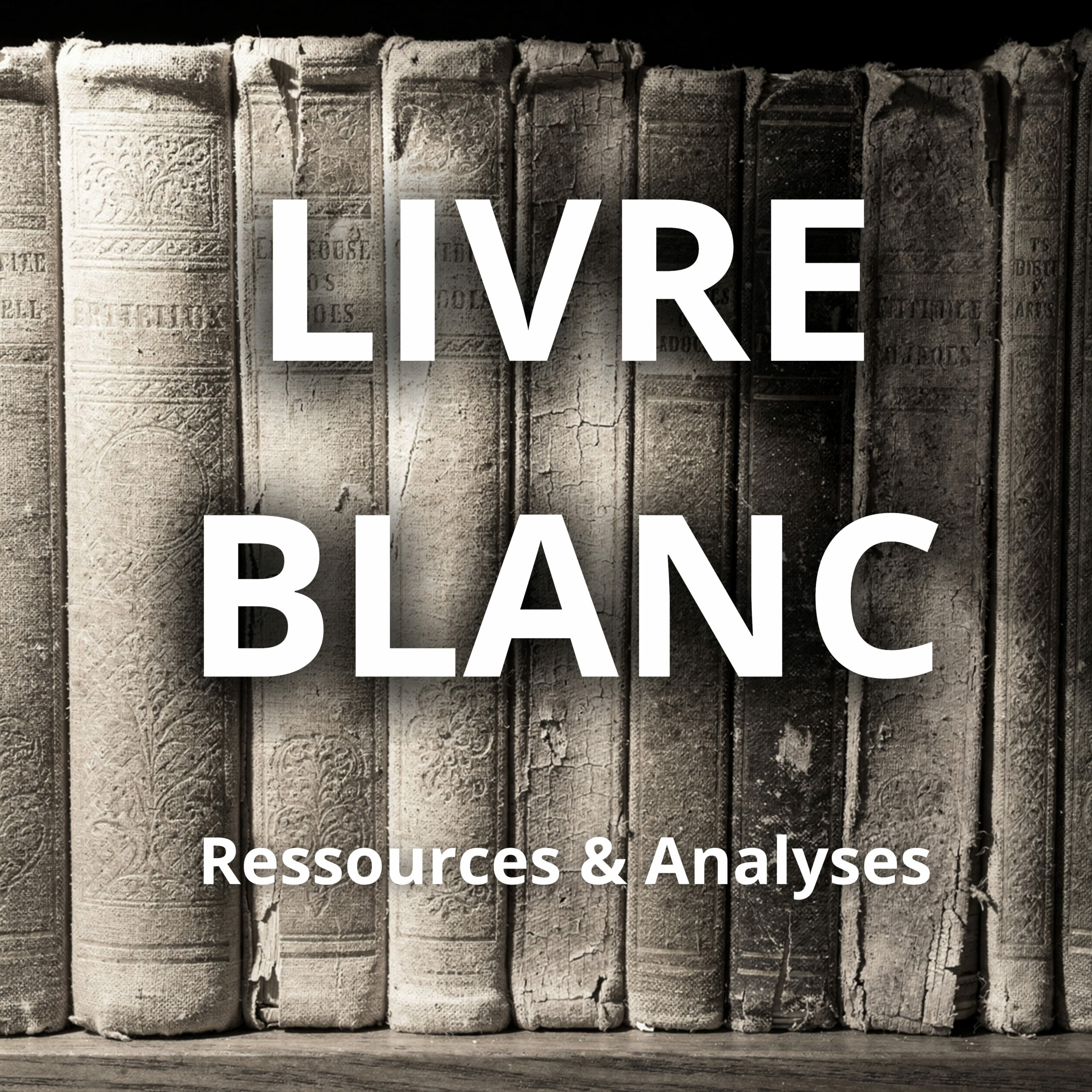 vignette livre blanc mentoriel
